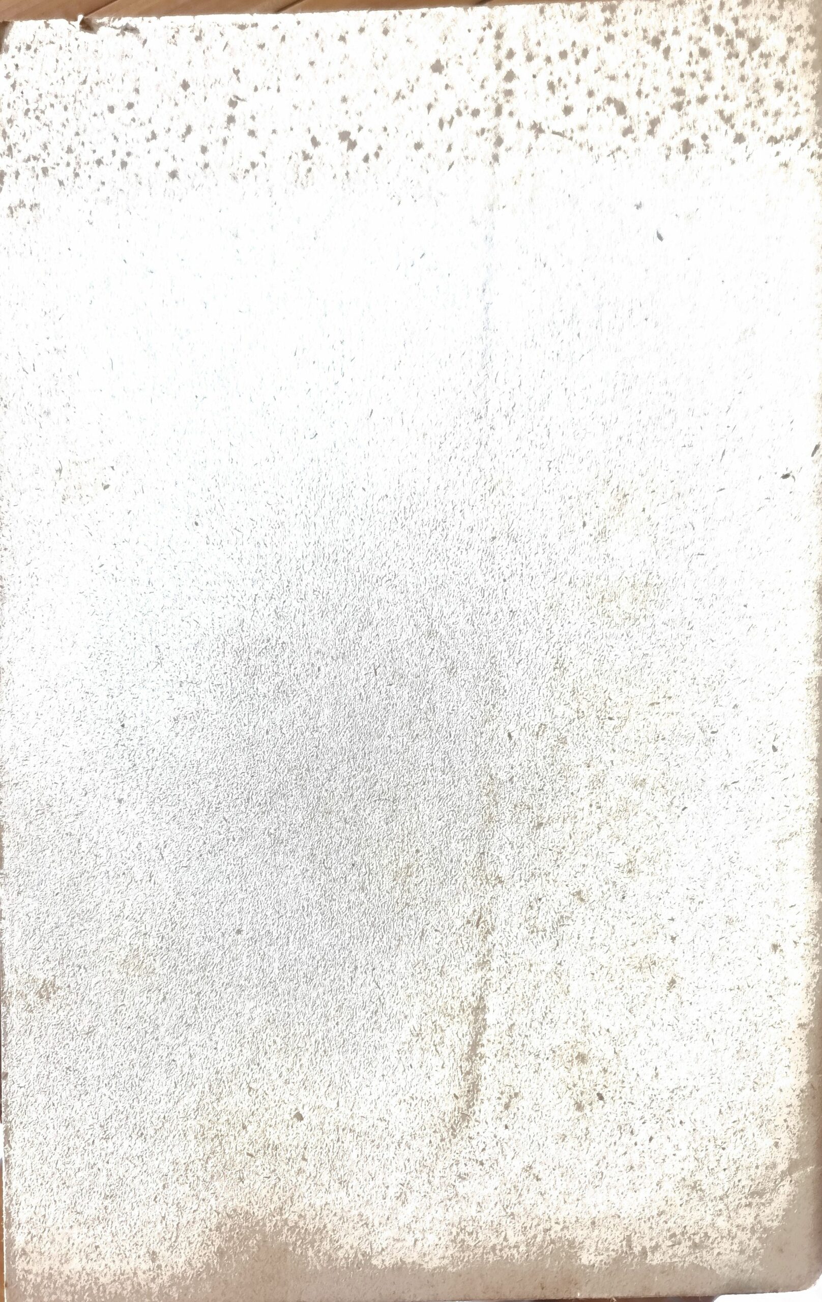 Vue 2