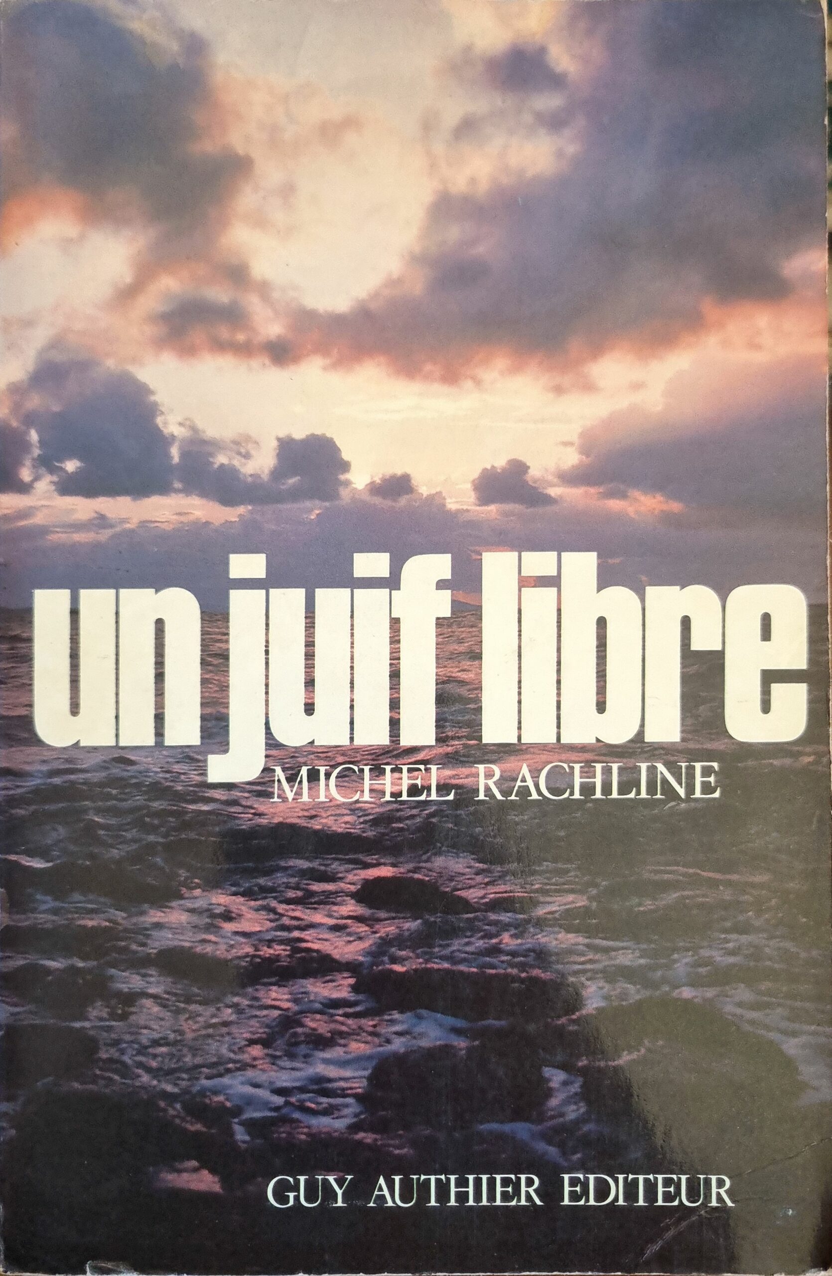 Un juif libre