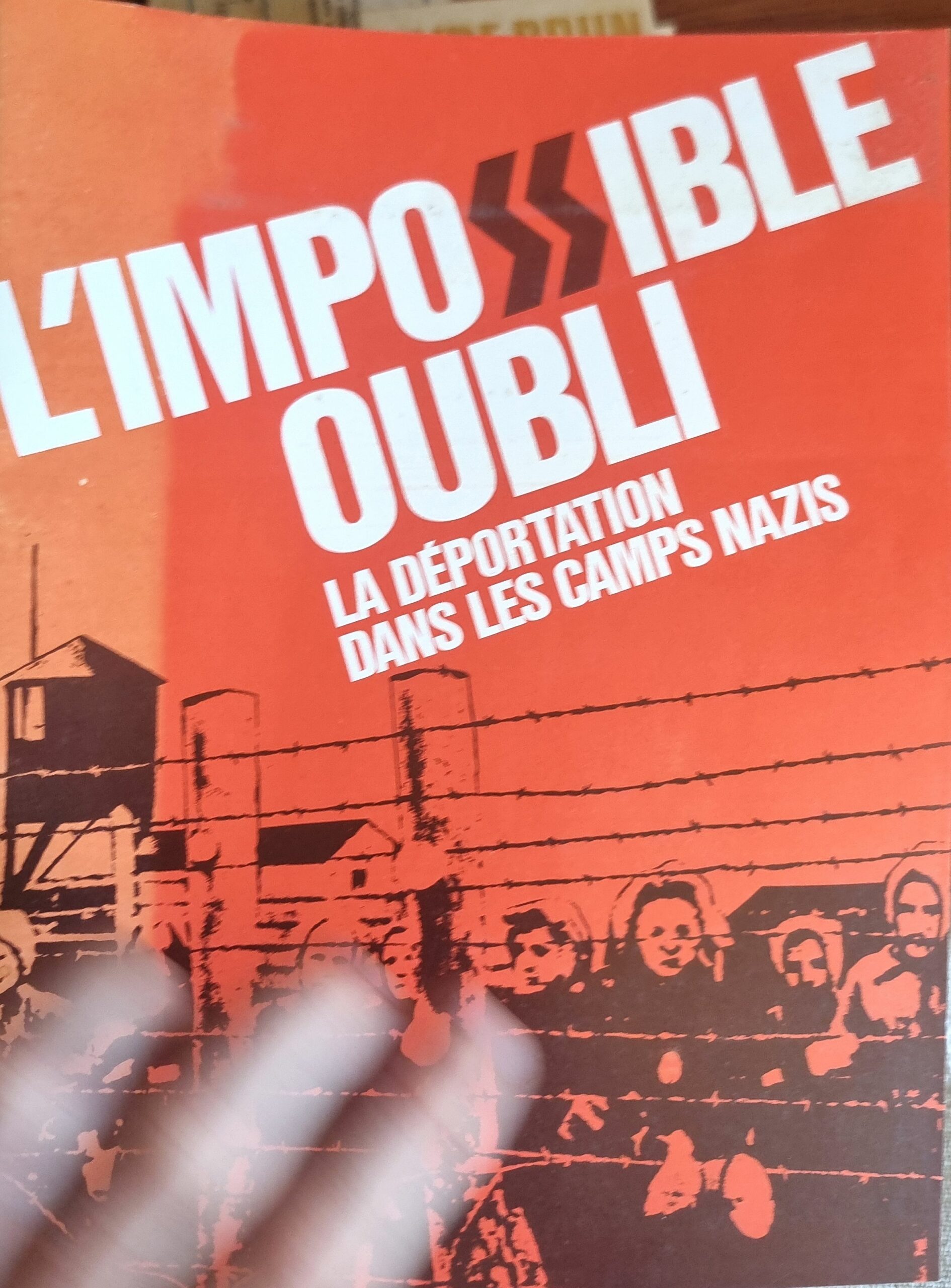 L&rsquo;Impossible Oubli : La Déportation dans les Camps Nazis