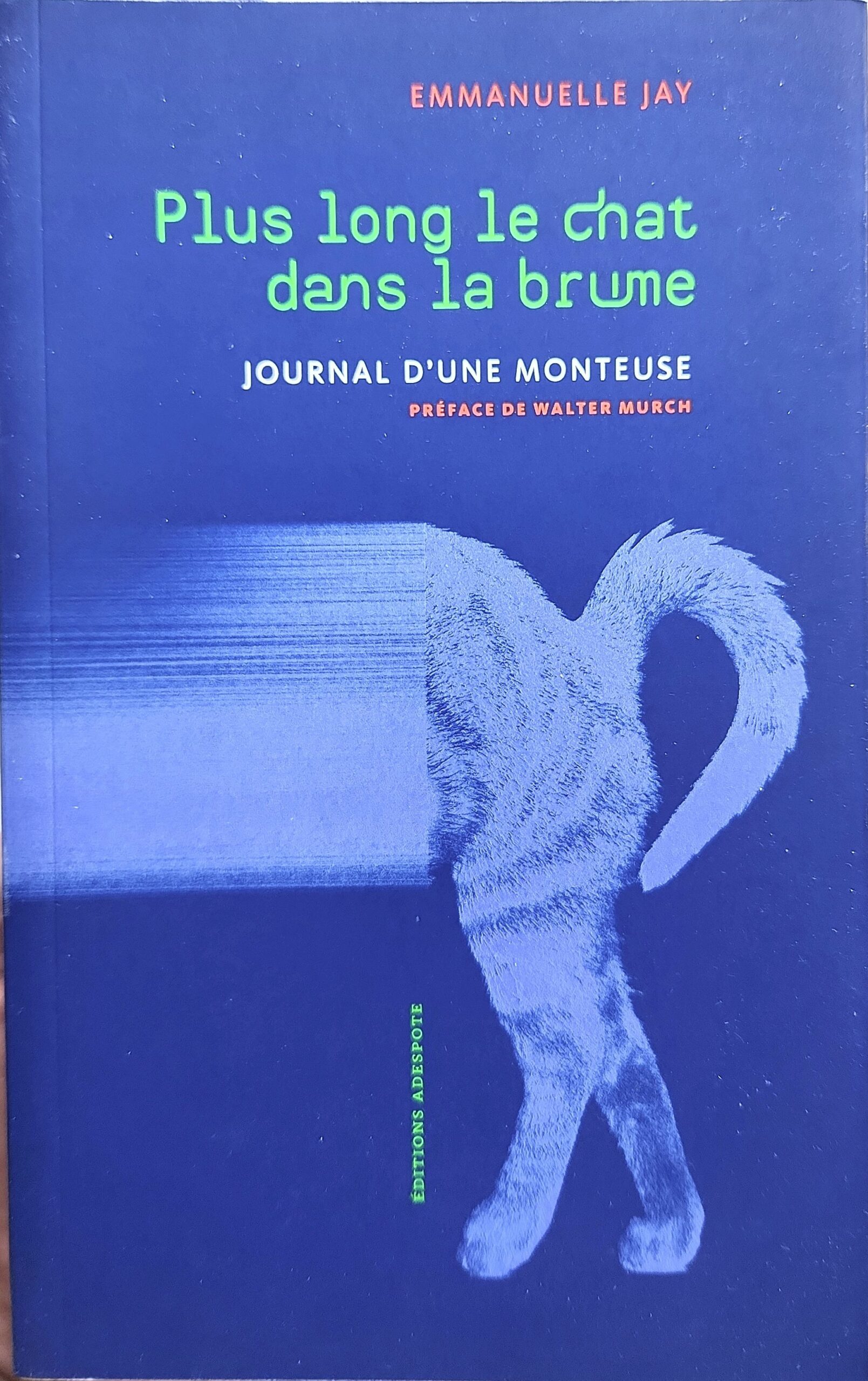 Plus long le chat dans la brume. Journal d&rsquo;une monteuse