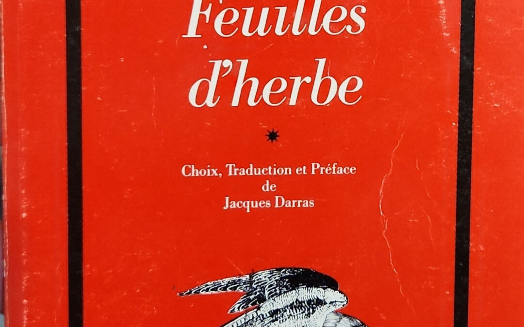 Feuilles d&rsquo;herbe