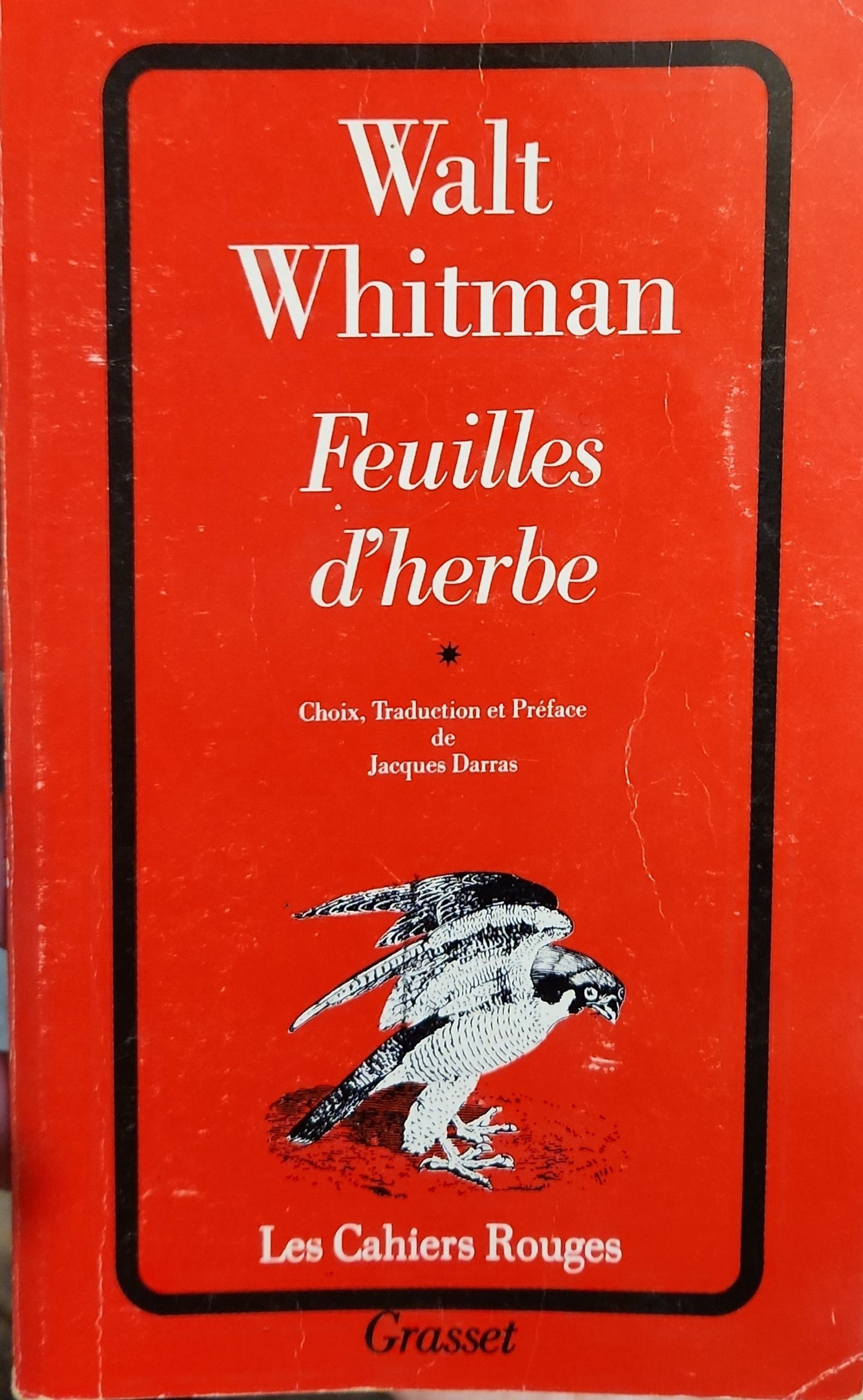 Feuilles d&rsquo;herbe