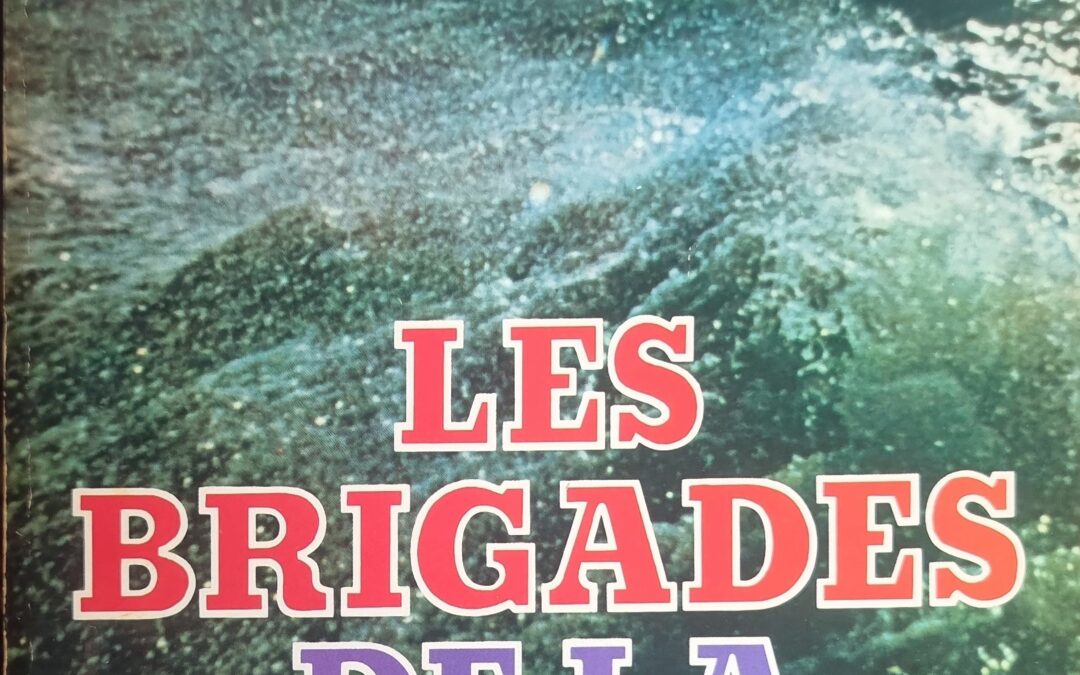 LES BRIGADES DE LA MER