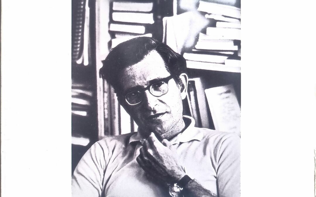 Noam Chomsky, Une voix discordante
