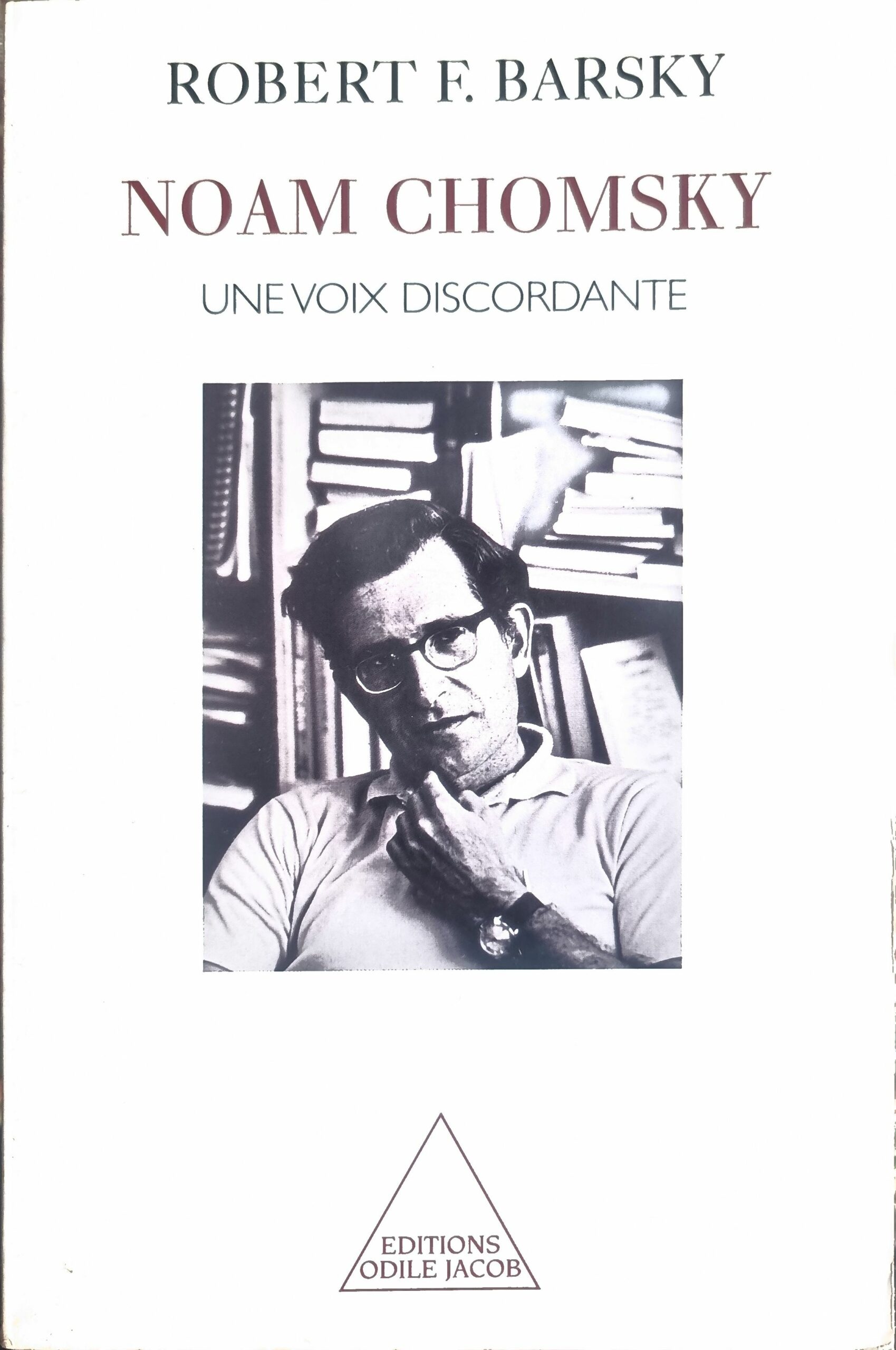 Noam Chomsky, Une voix discordante
