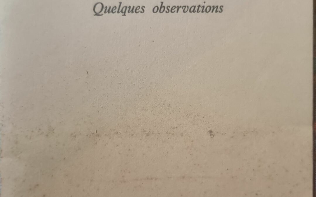 Devant ses calomniateurs : quelques observations