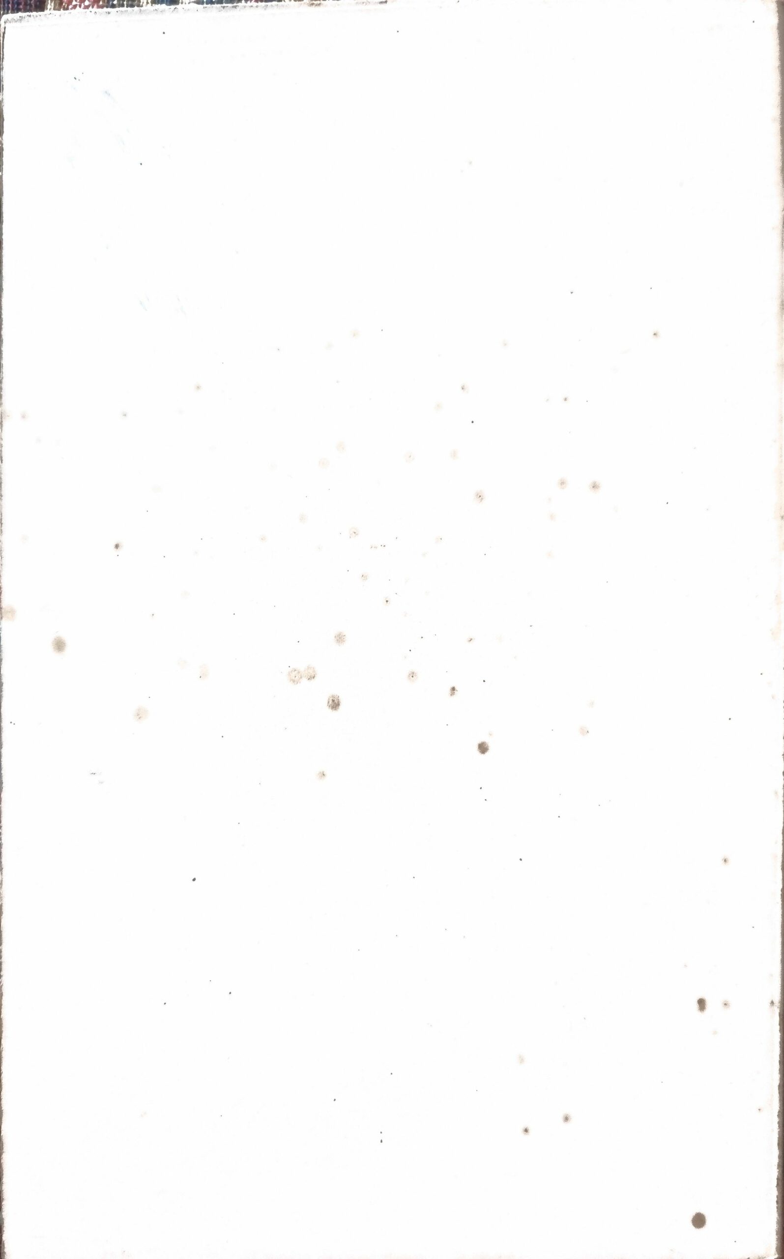Vue 2