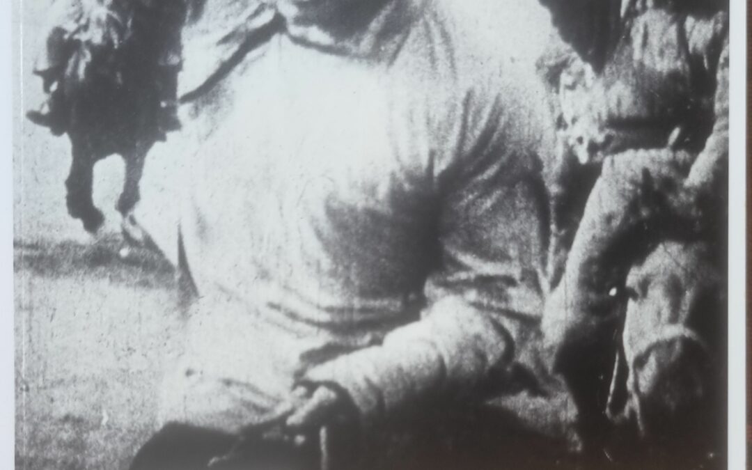La guerre civile russe 1917-1922 Armées paysannes rouges, blanches et vertes