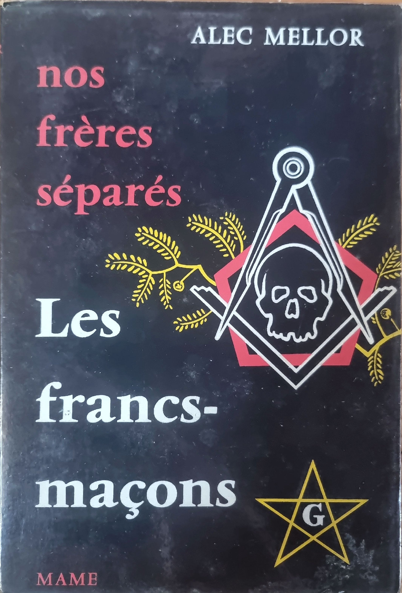 Nos frères séparés : Les francs-maçons