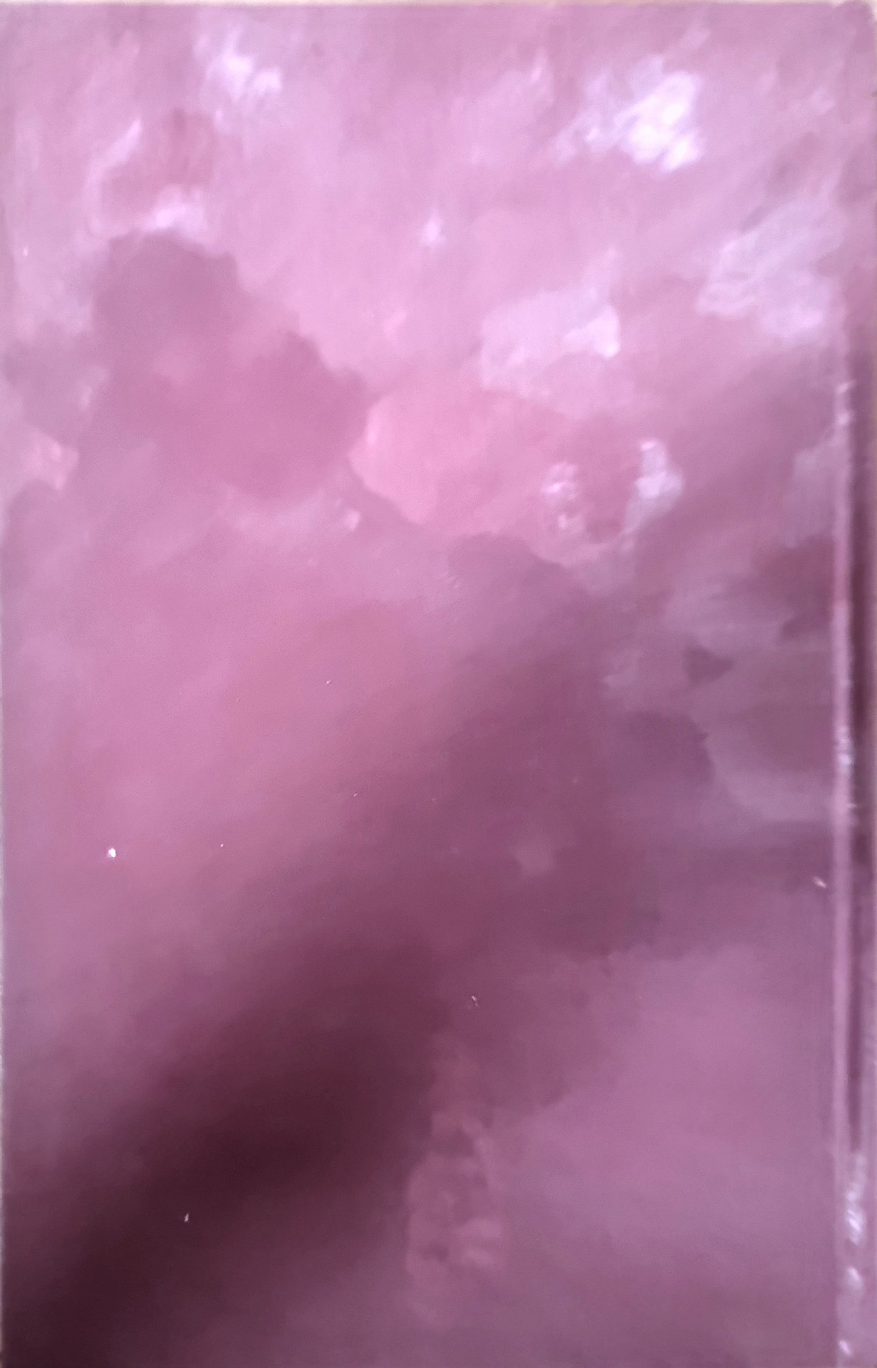 Vue 2
