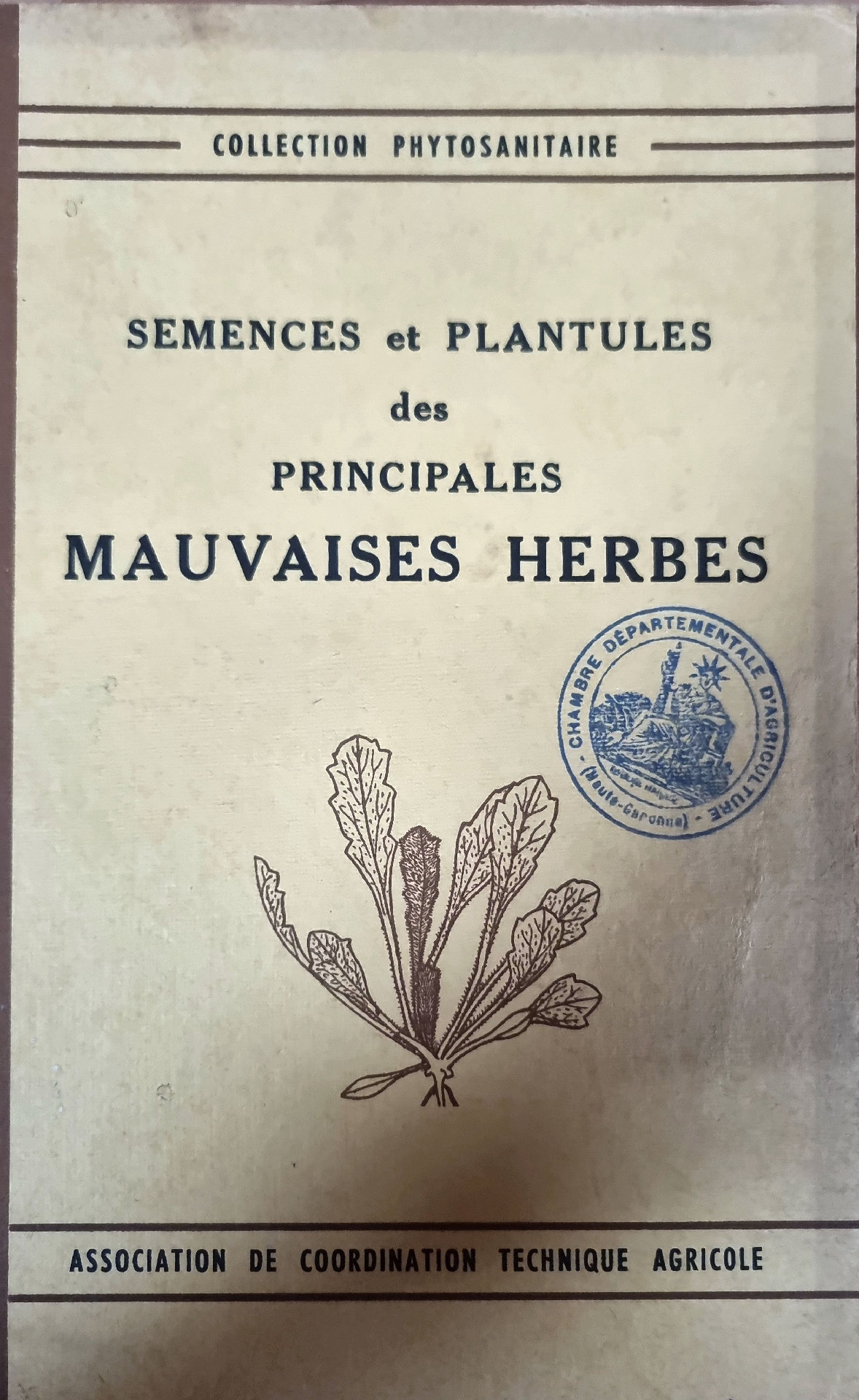 Semences et Plantules des Principales Mauvaises Herbes