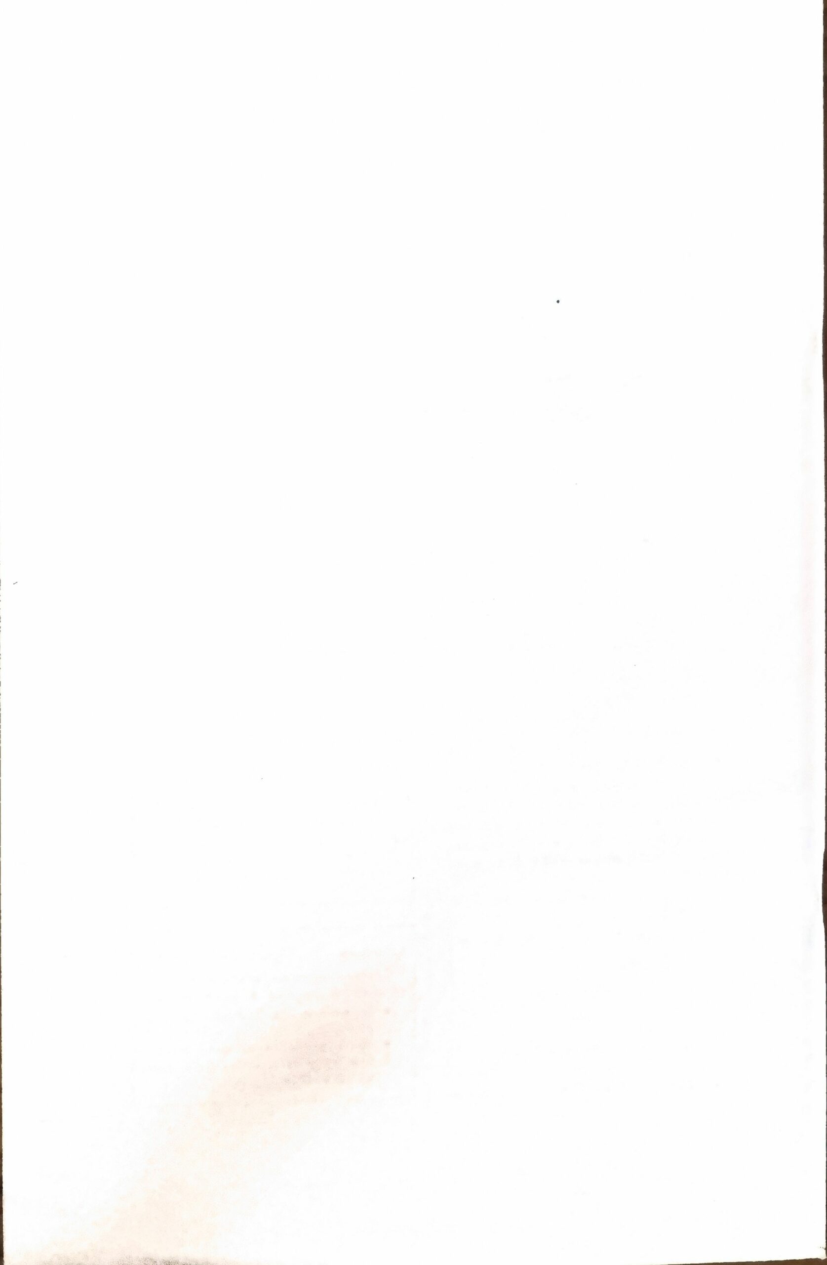 Vue 2