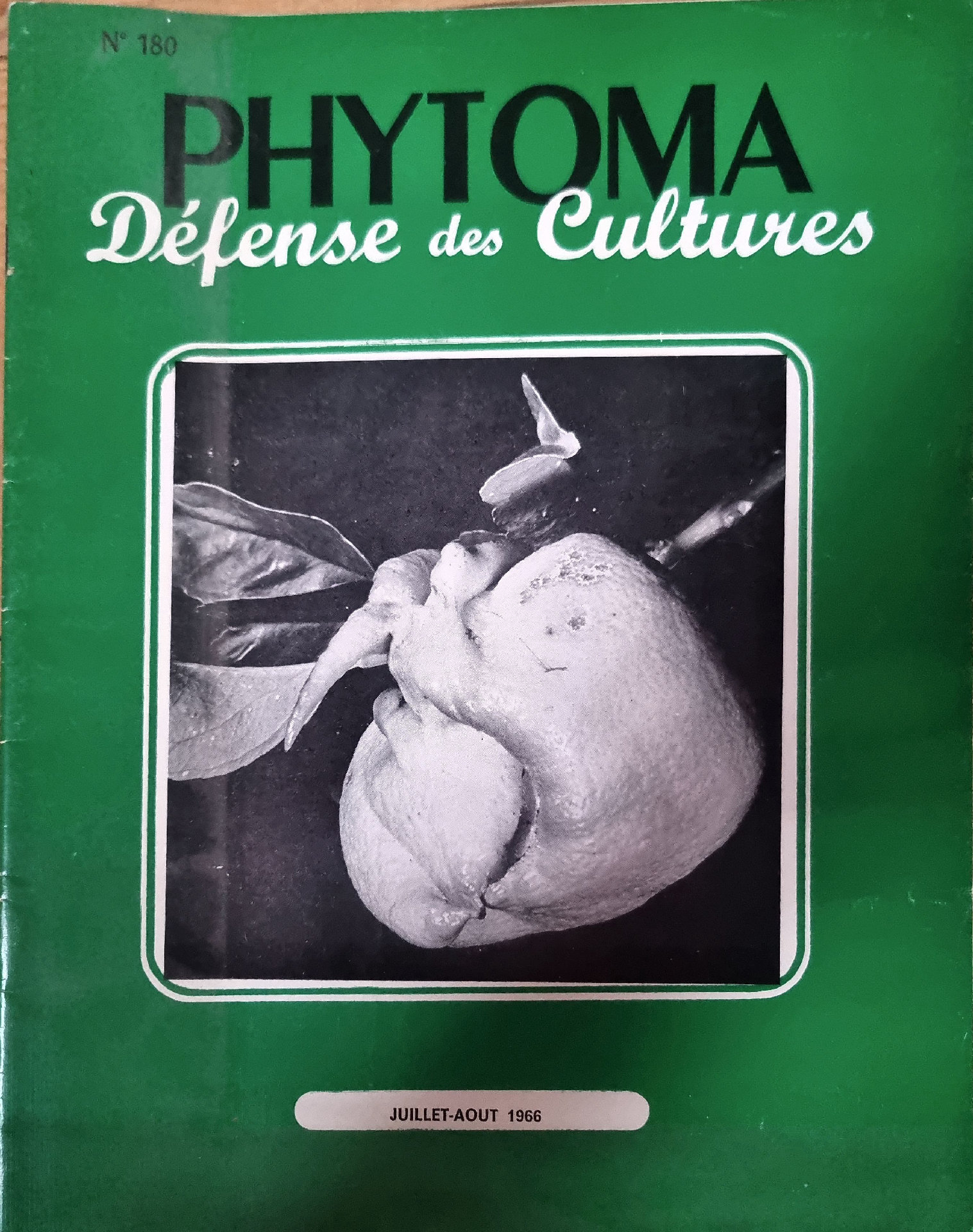 PHYTOMA Défense des Cultures N° 180