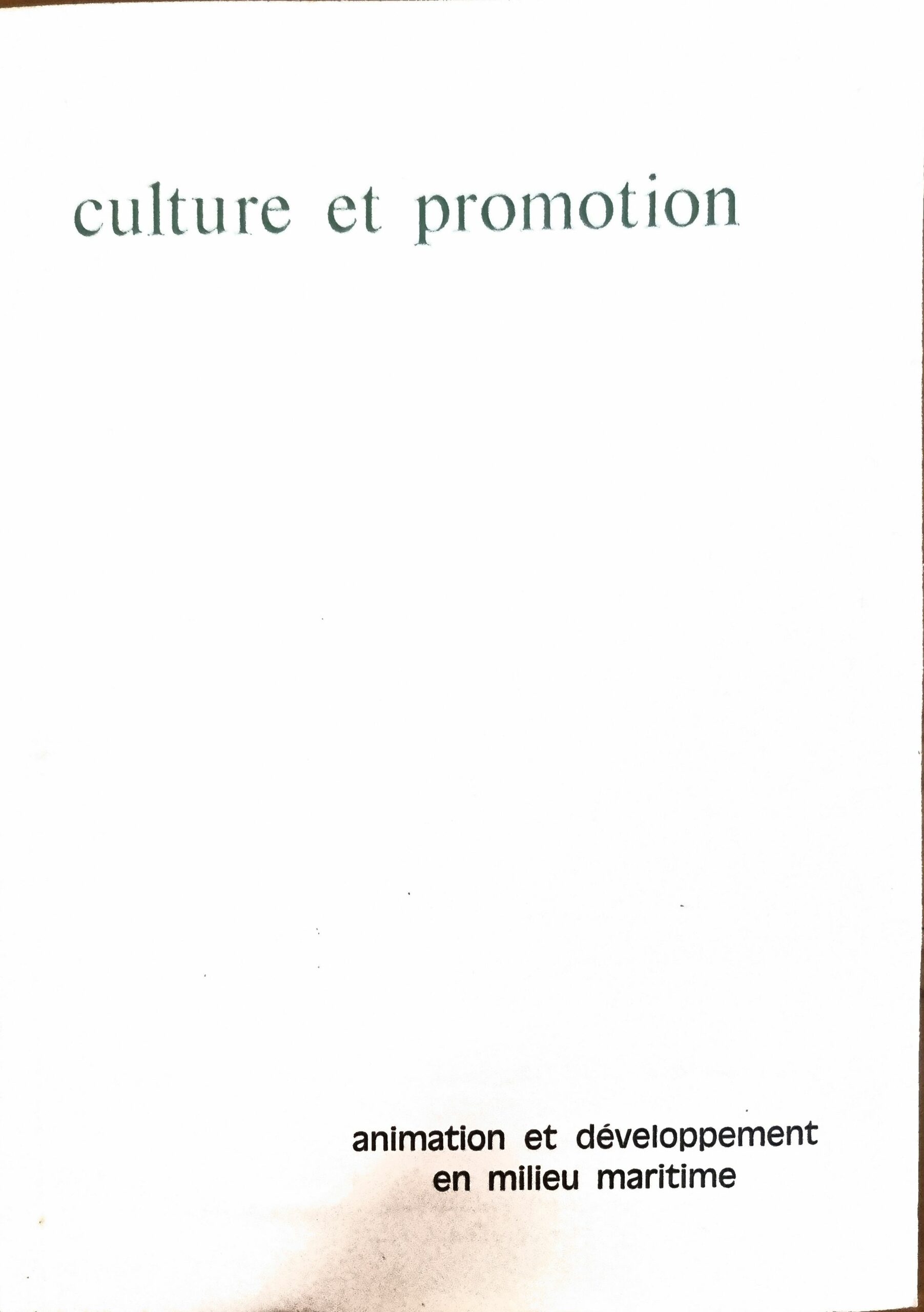 Culture et promotion : animation et développement en milieu maritime