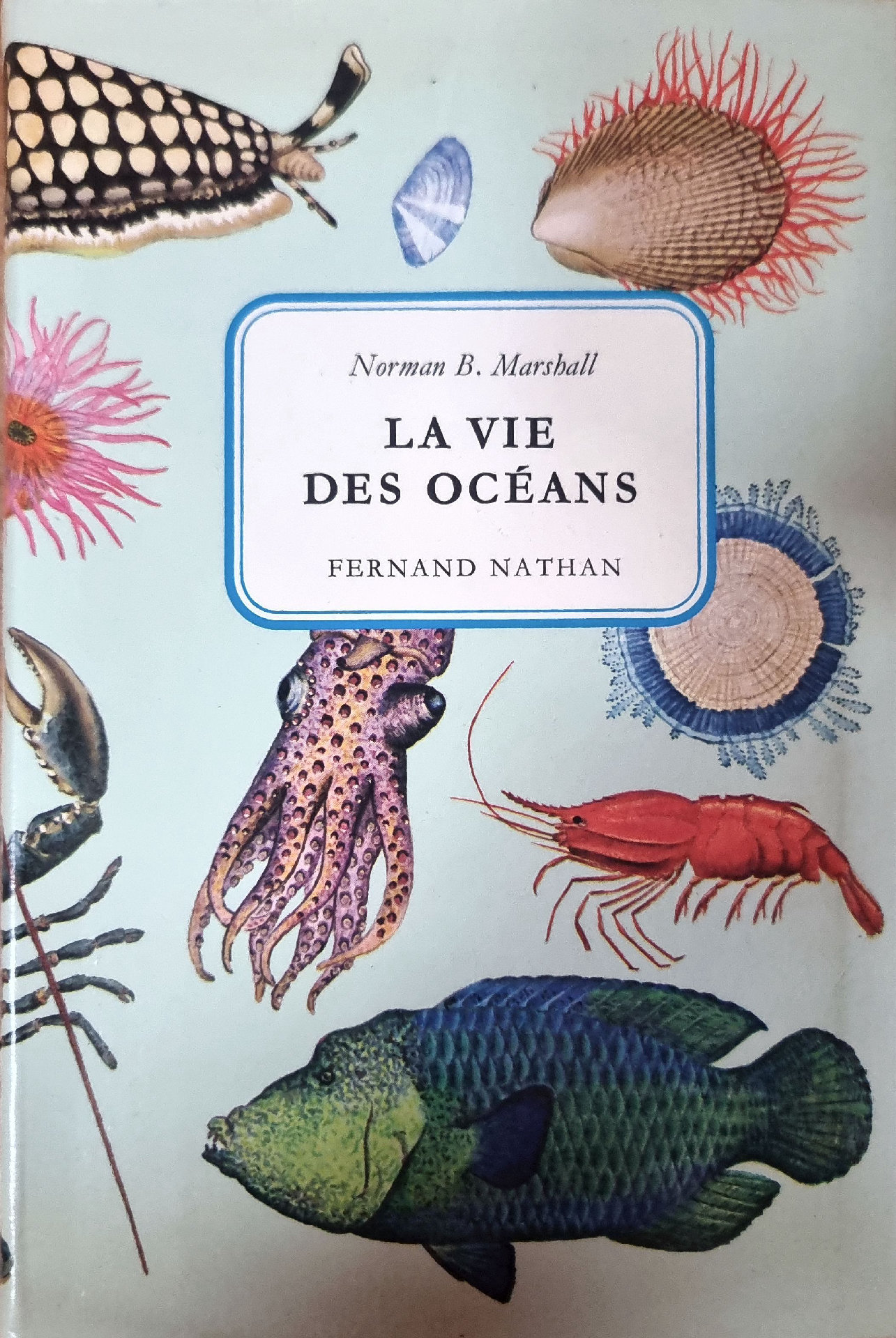LA VIE DES OCÉANS