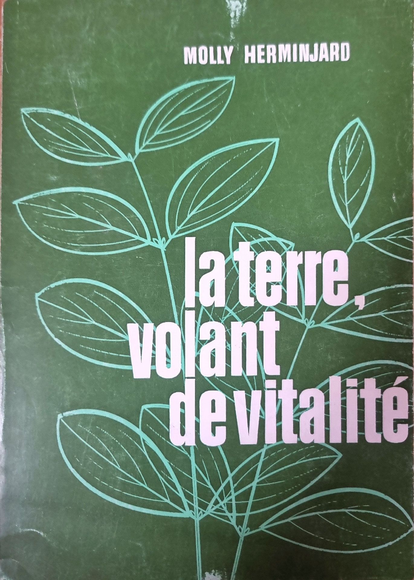 la terre, volant de vitalité
