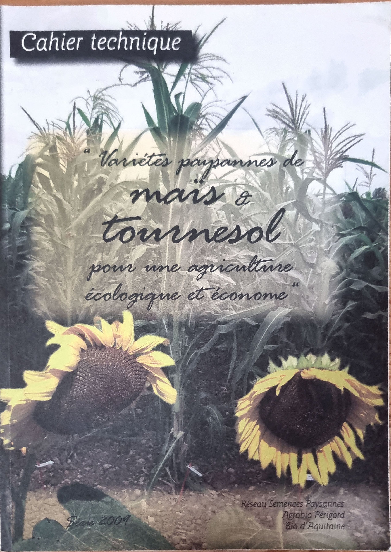 Cahier technique : Variétés paysannes de maïs & tournesol pour une agriculture écologique et économe