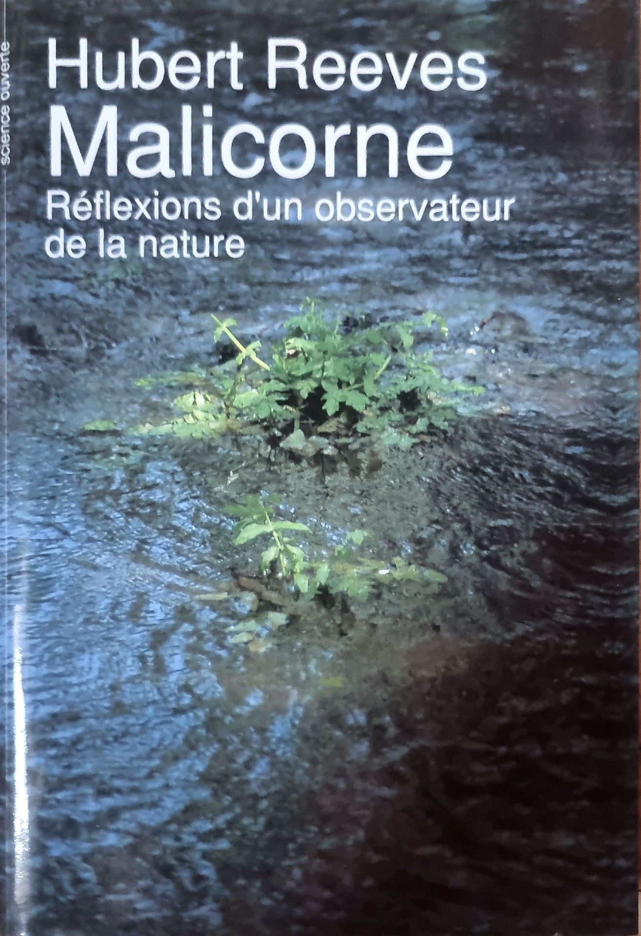 Malicorne : Réflexions d&rsquo;un observateur de la nature