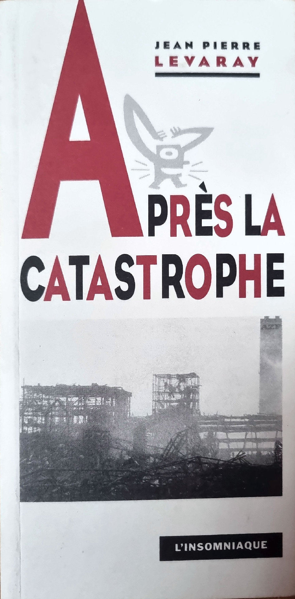 Après la catastrophe