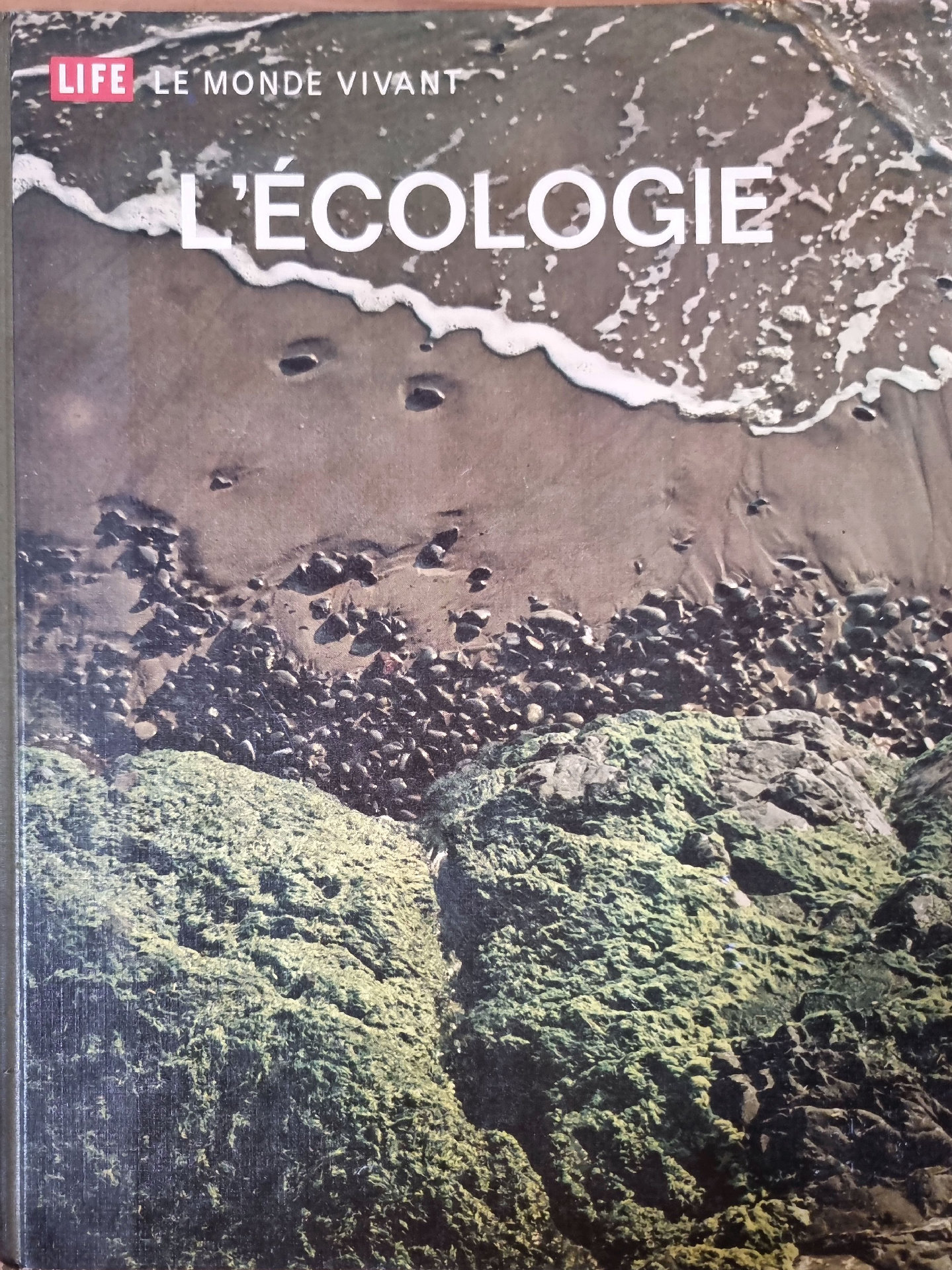 L&rsquo;ÉCOLOGIE