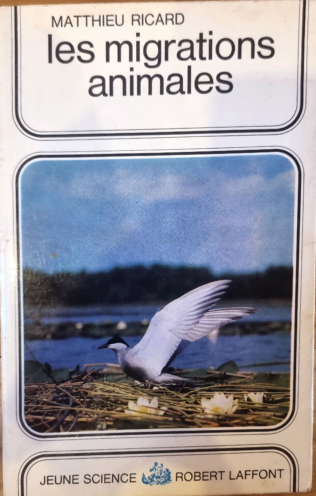 les migrations animales