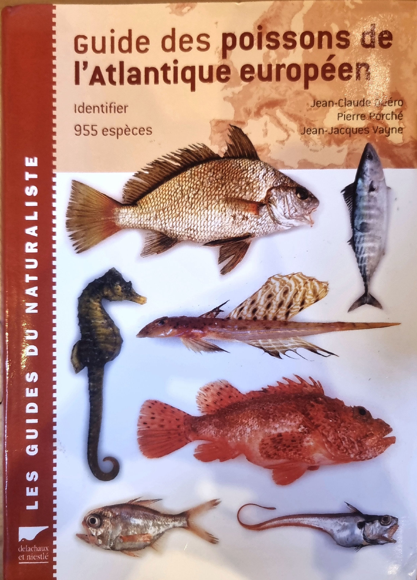 Guide des poissons de l&rsquo;Atlantique européen