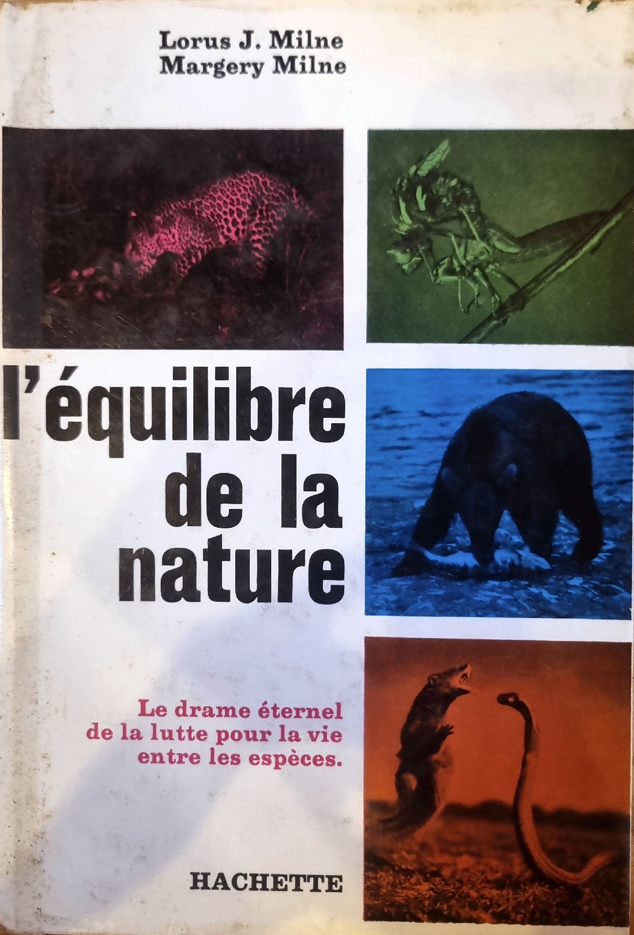 L&rsquo;équilibre de la nature