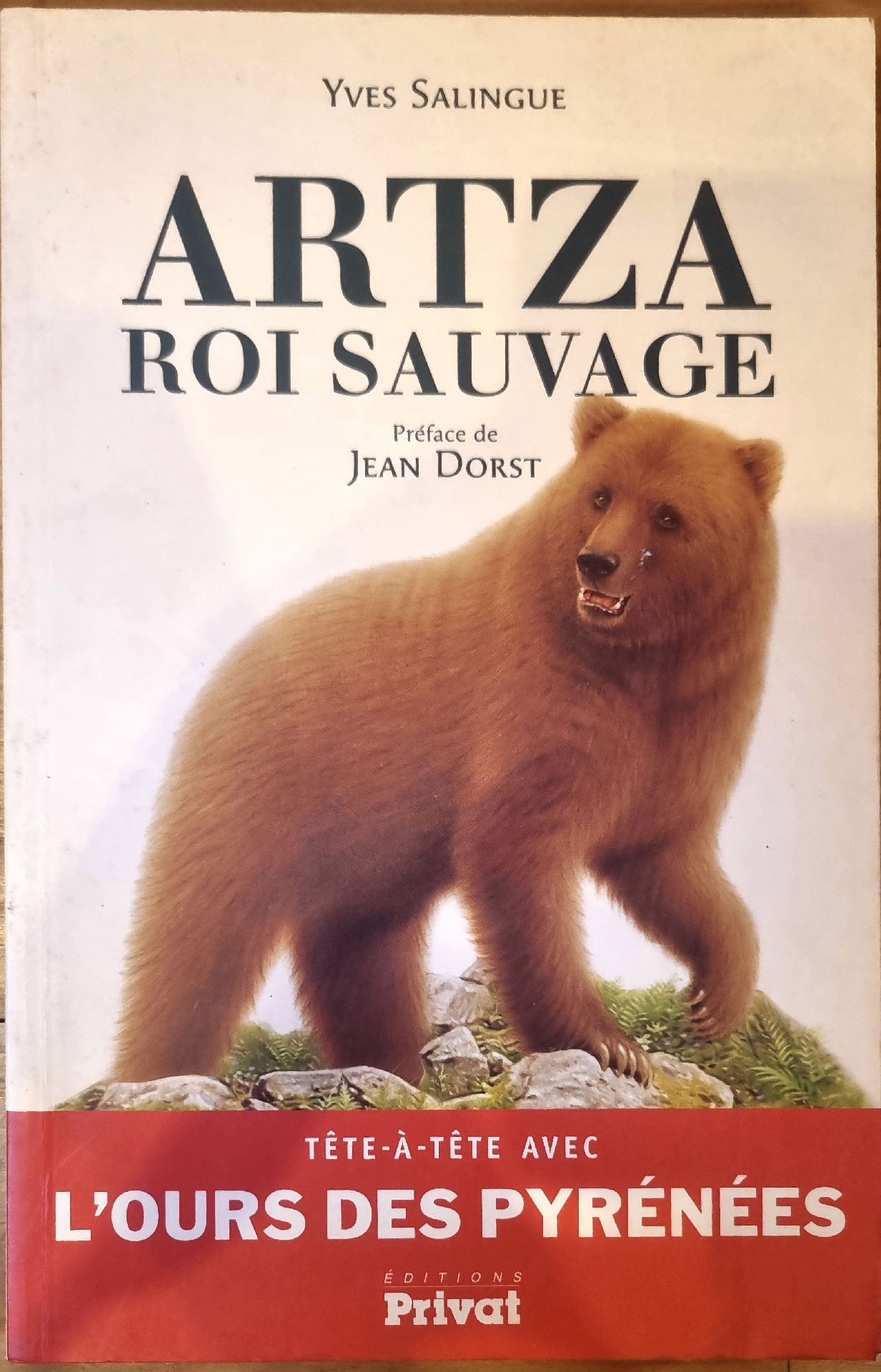 ARTZA ROI SAUVAGE – TÊTE-À-TÊTE AVEC L&rsquo;OURS DES PYRÉNÉES
