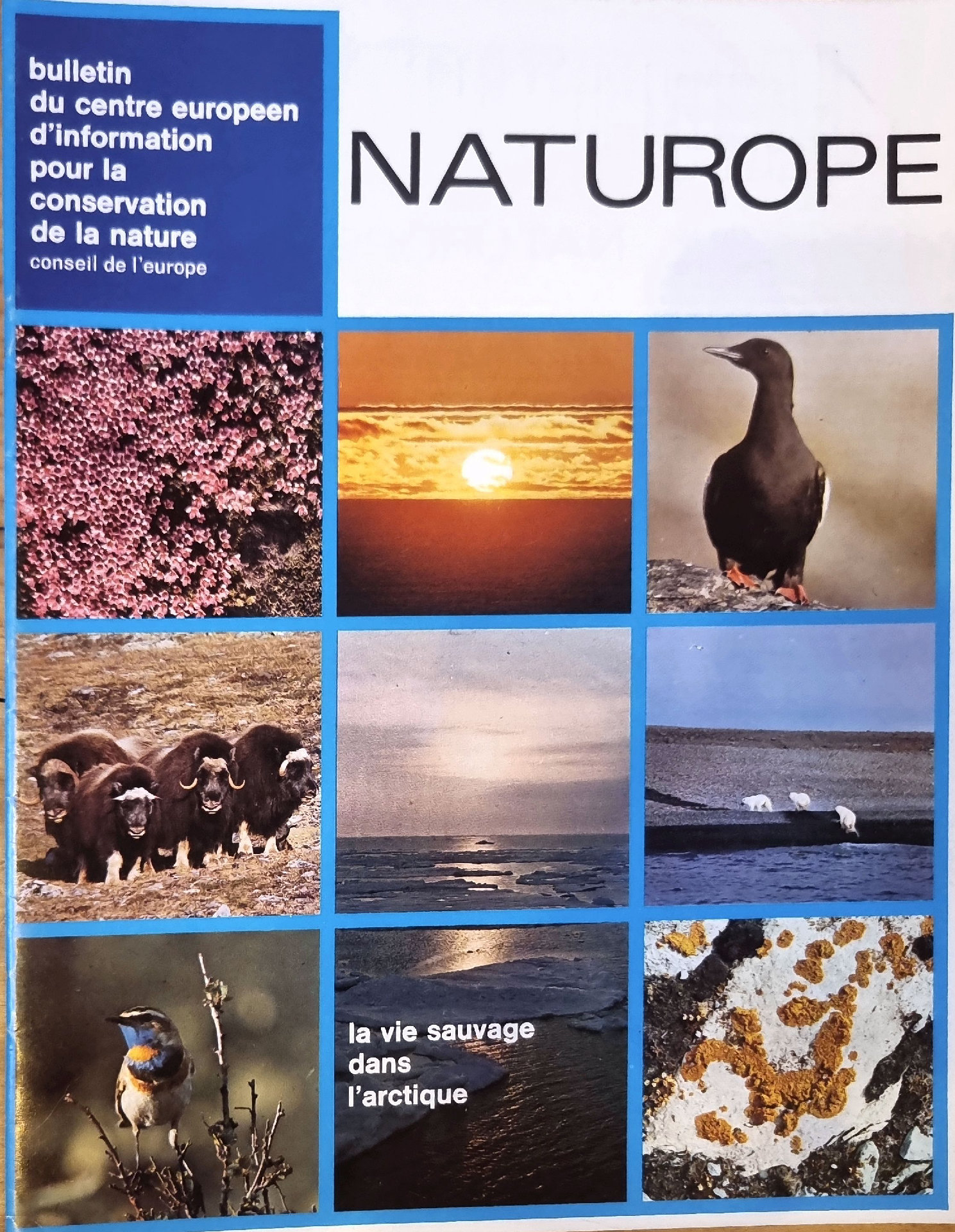 NATUROPE – Bulletin du Centre Européen d&rsquo;Information pour la Conservation de la Nature : La vie sauvage dans l&rsquo;Arctique