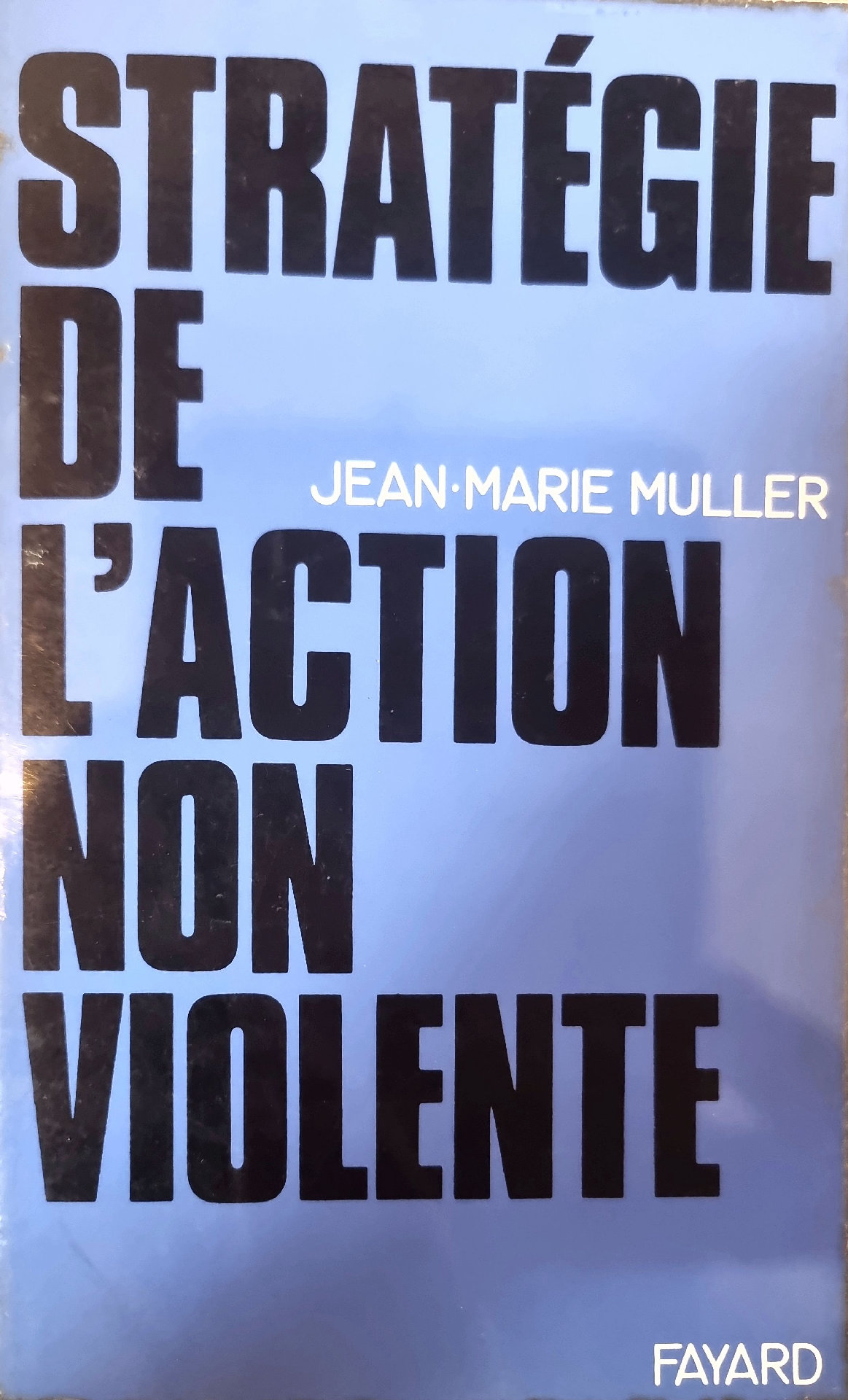 STRATÉGIE DE L&rsquo;ACTION NON VIOLENTE