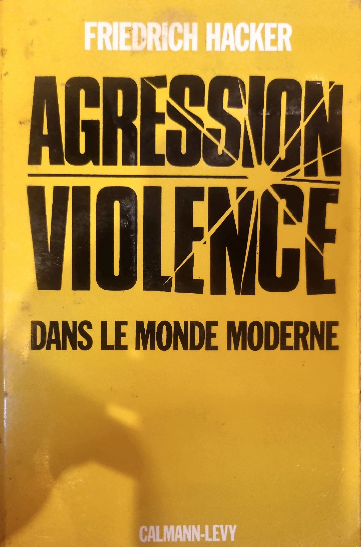 AGRESSION VIOLENCE DANS LE MONDE MODERNE