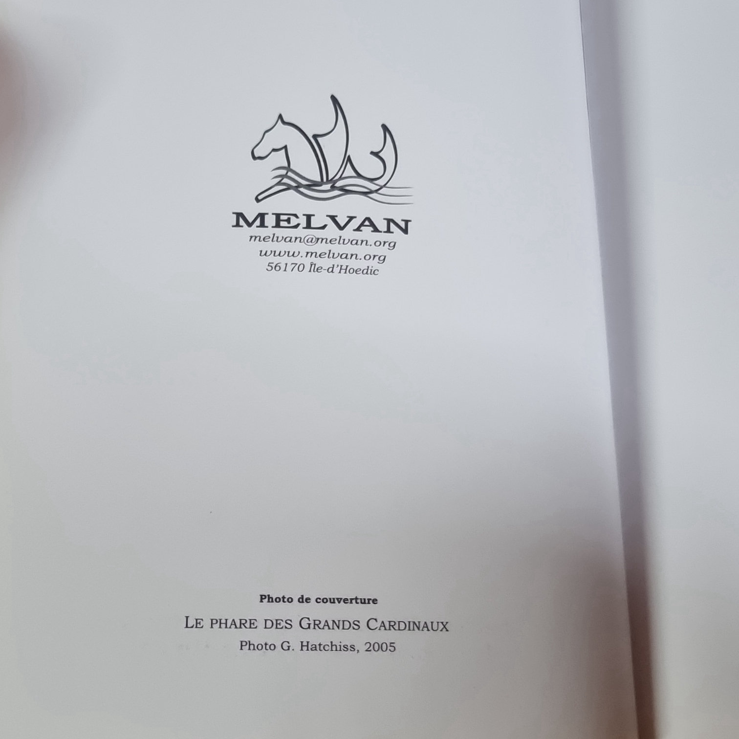 Vue 3