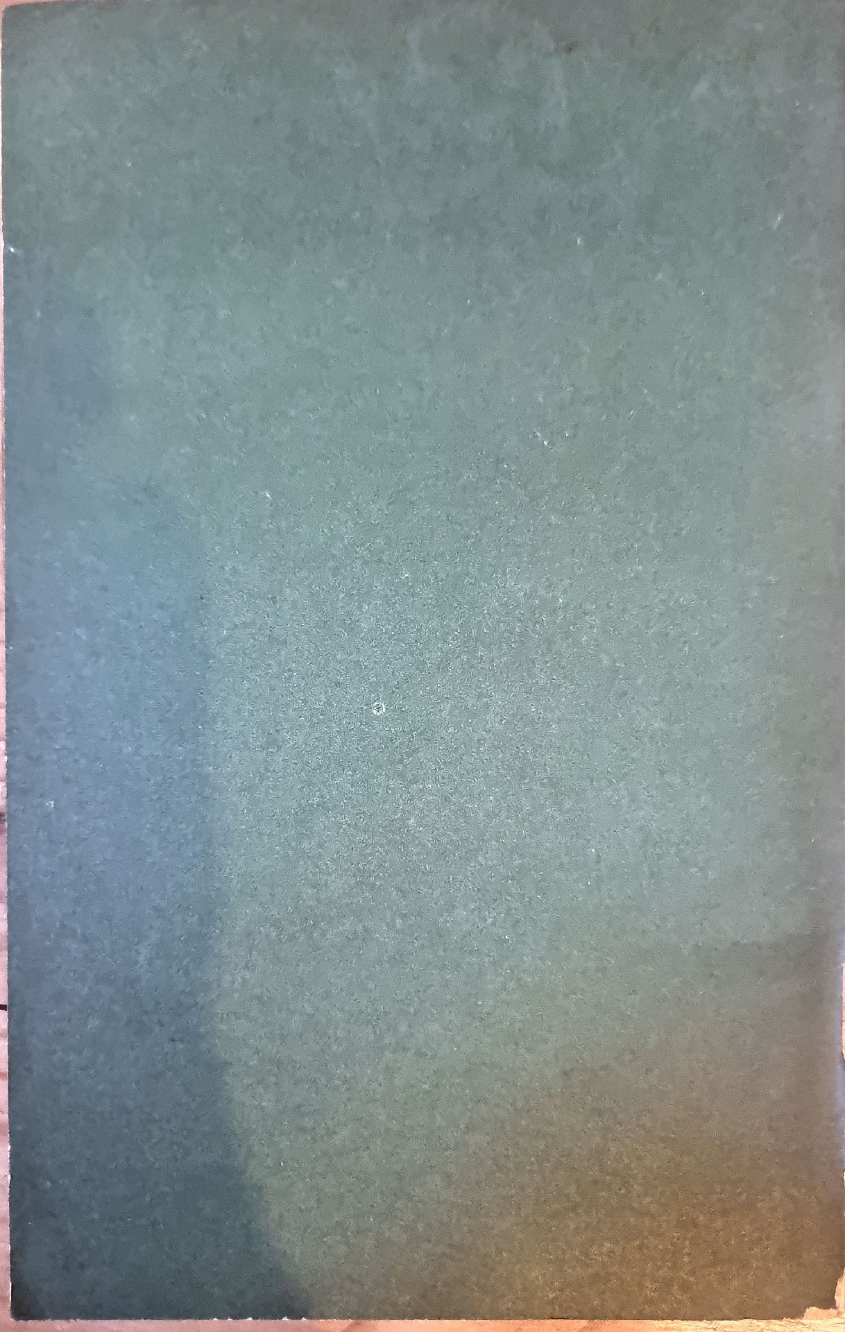 Vue 2