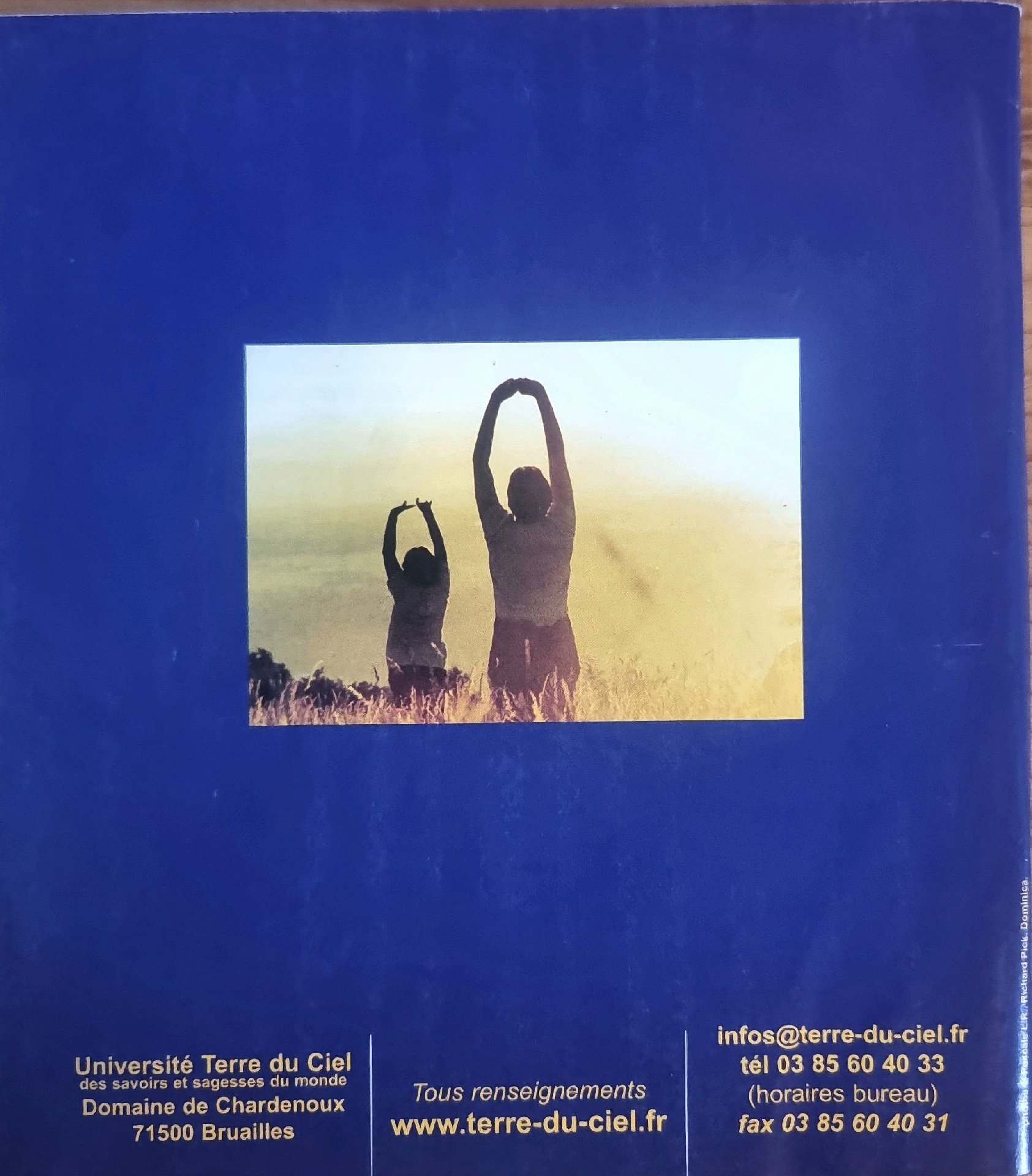 Vue 2