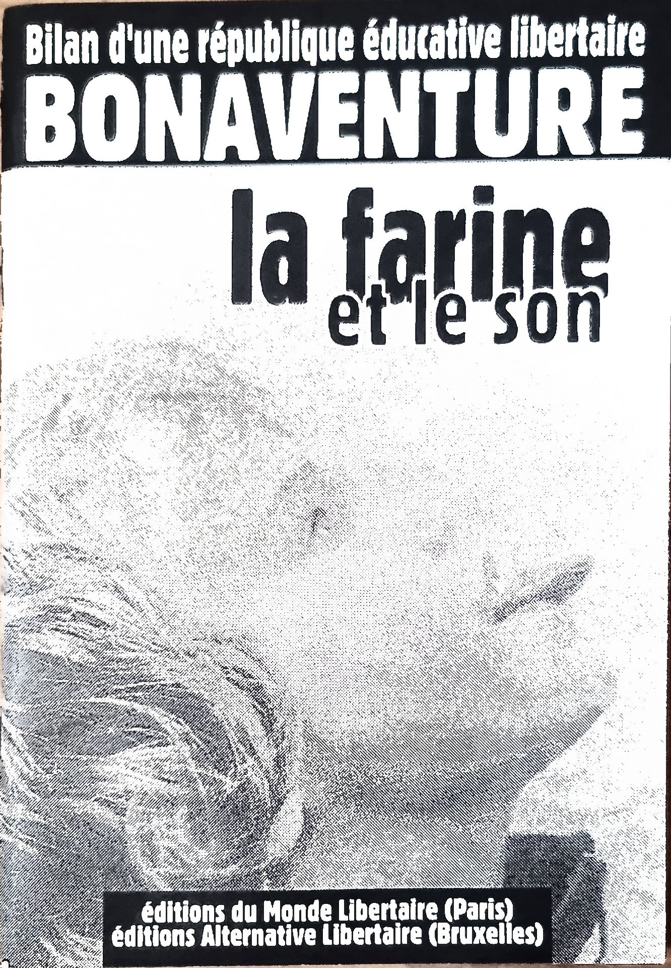 La farine et le son : Bilan éducatif, pédagogique, institutionnel, sociologique, politique d&rsquo;une petite république éducative libertaire