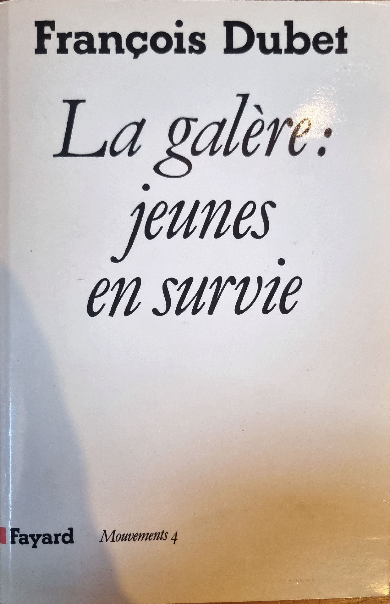 La galère: jeunes en survie