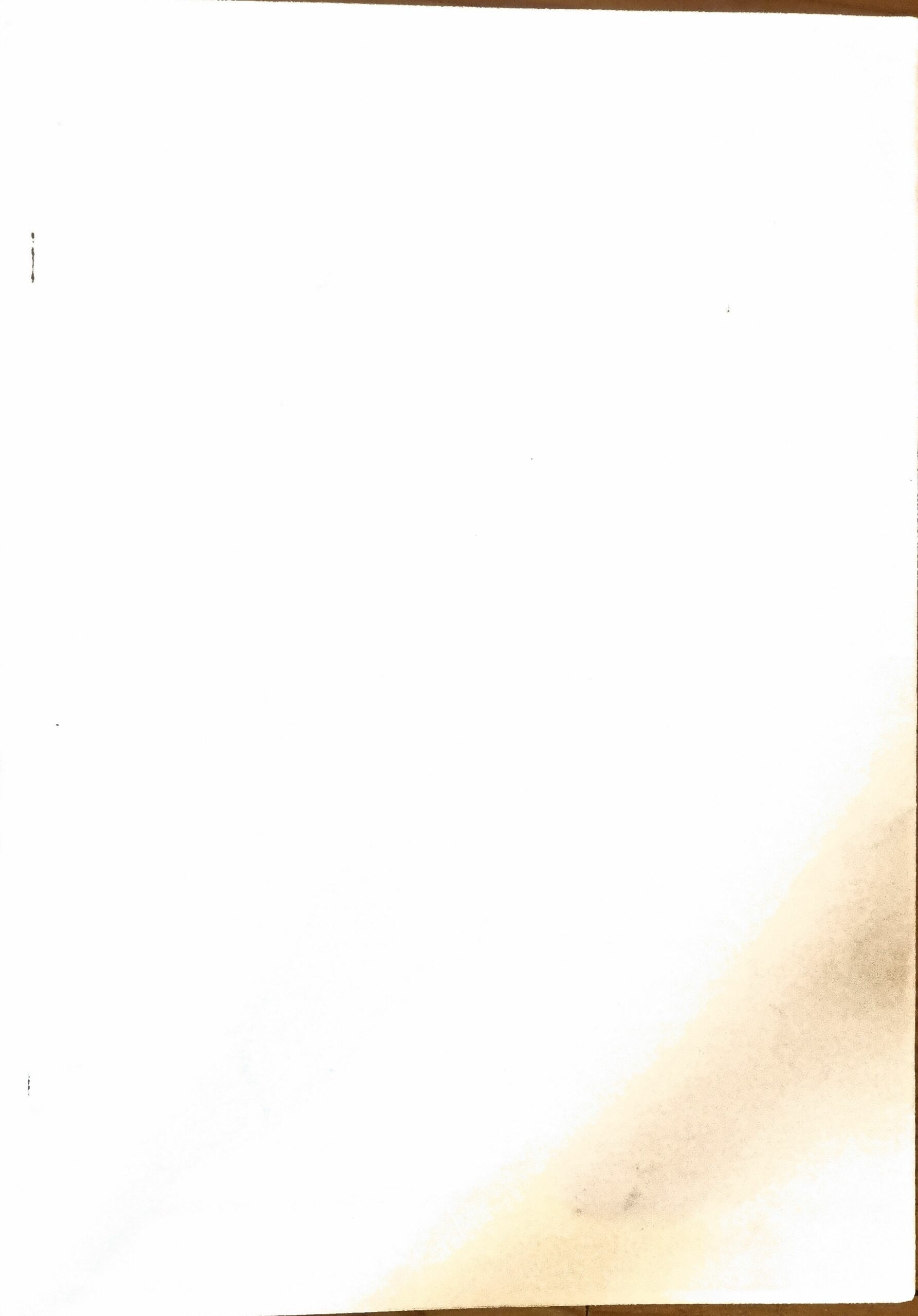 Vue 2