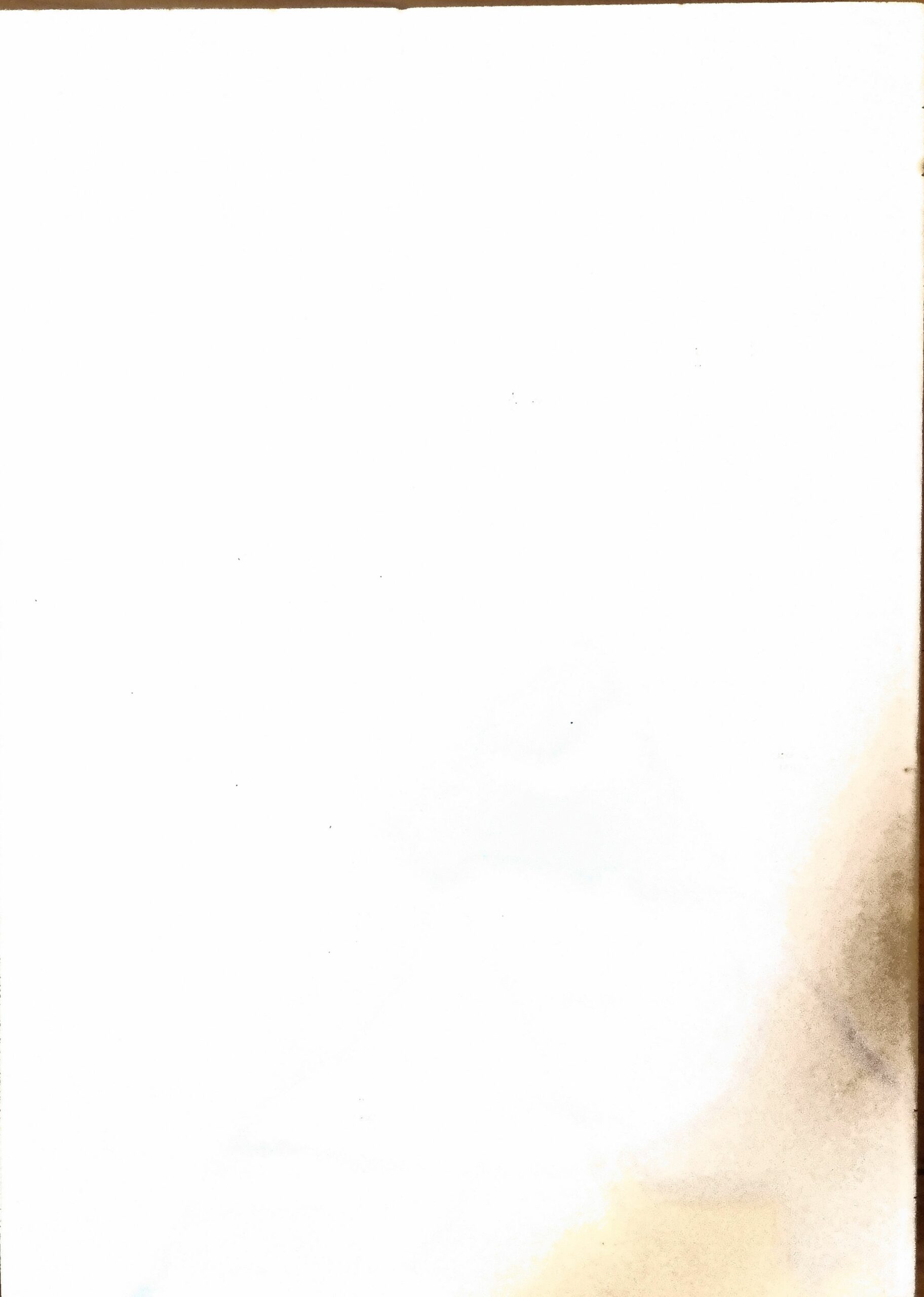 Vue 2