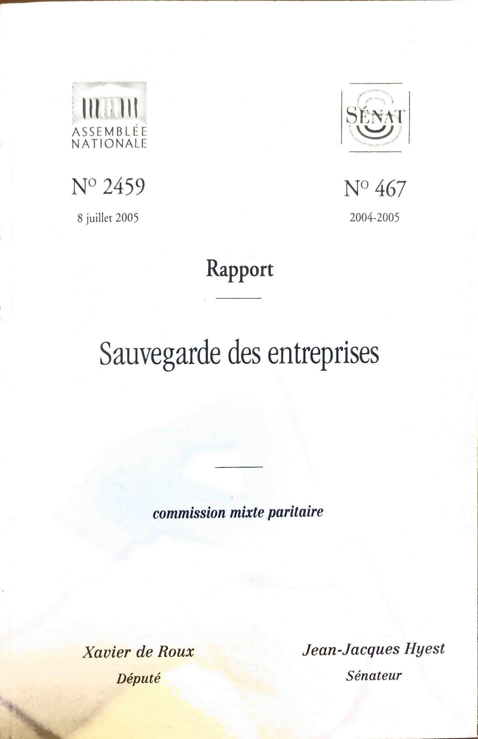 Rapport Sauvegarde des entreprises
