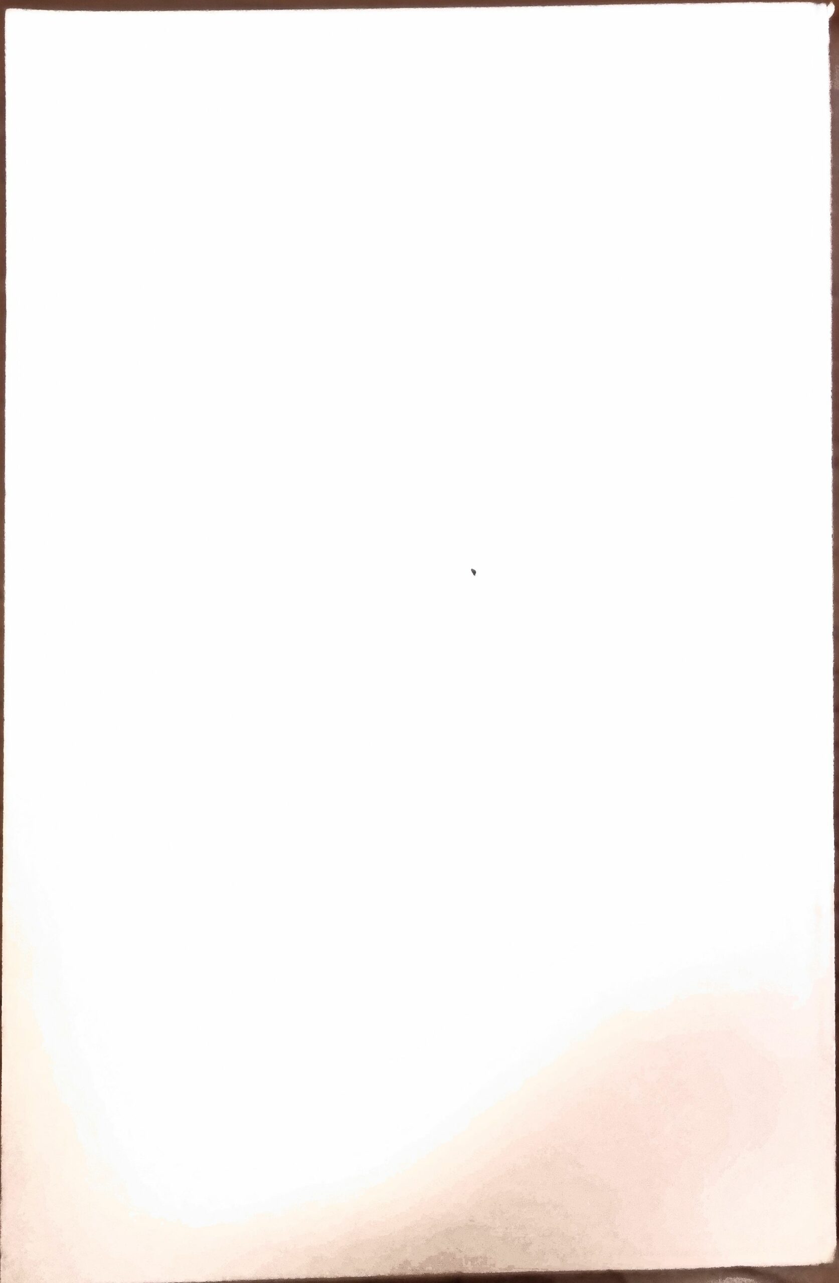 Vue 2